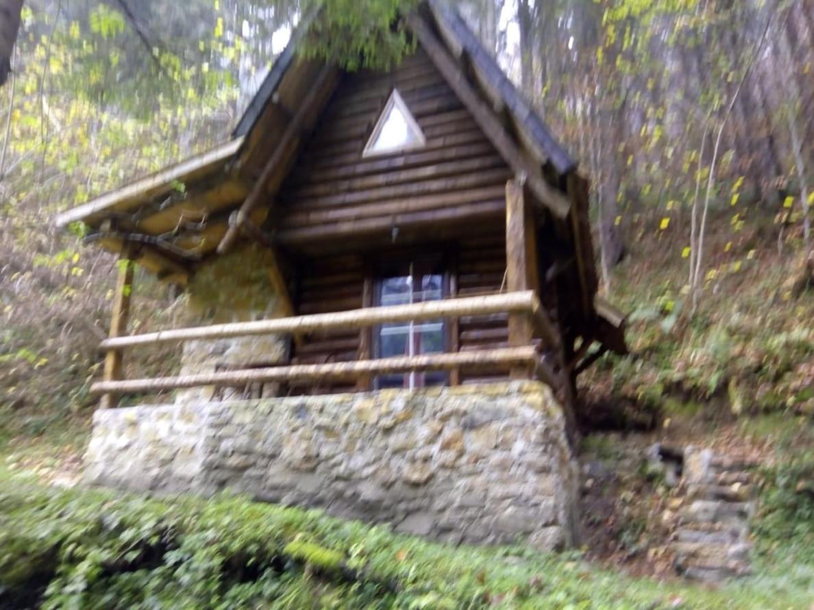 Holiday Park Zelenkovac Podrašnica エクステリア 写真