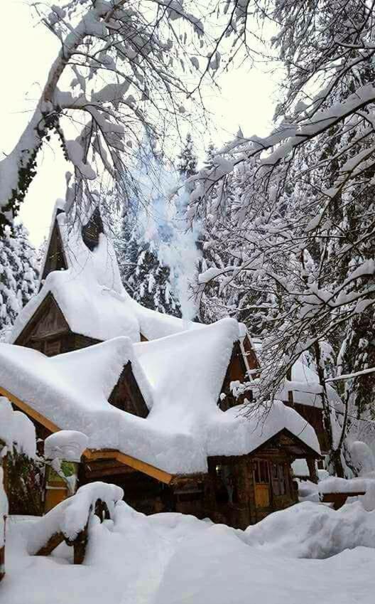 Holiday Park Zelenkovac Podrašnica エクステリア 写真