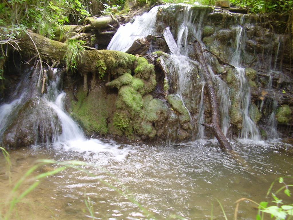 Holiday Park Zelenkovac Podrašnica エクステリア 写真