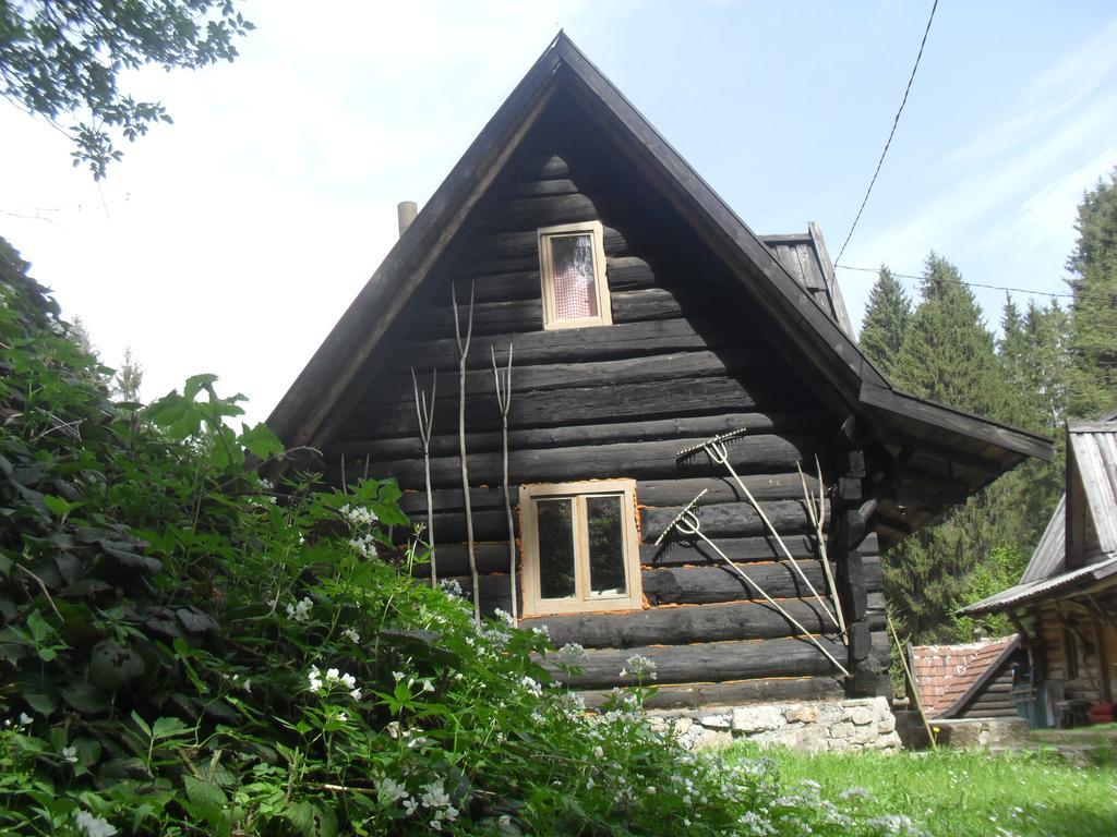 Holiday Park Zelenkovac Podrašnica エクステリア 写真